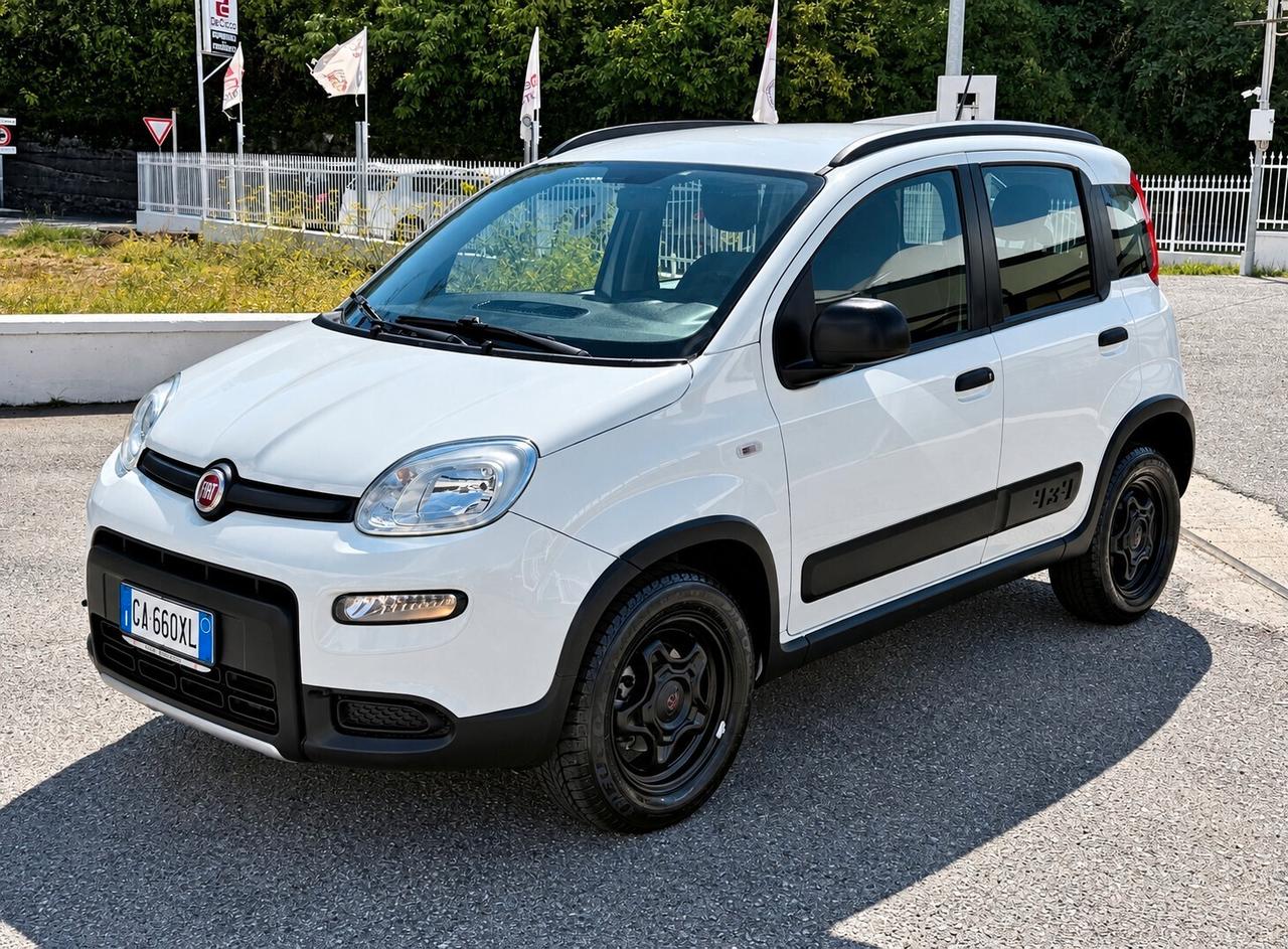 Fiat Panda 0.9 TwinAir Turbo S&S 4x4