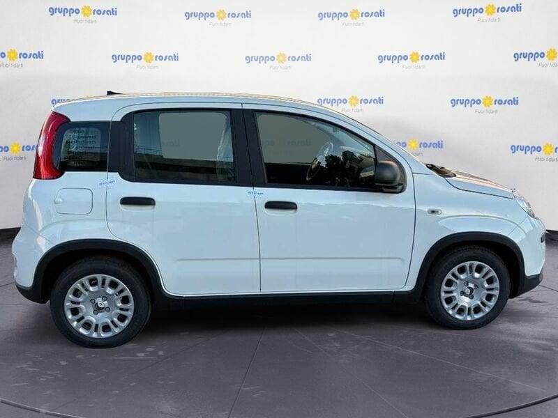 FIAT Panda 1.0 70cv Hybrid Panda