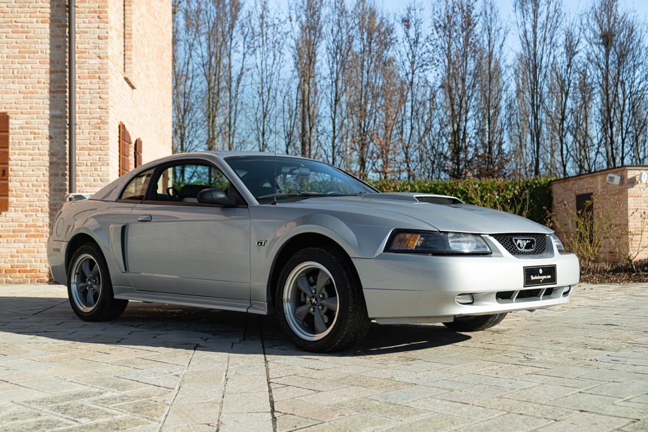 Ford Mustang GT V8 SRS - RDS01942