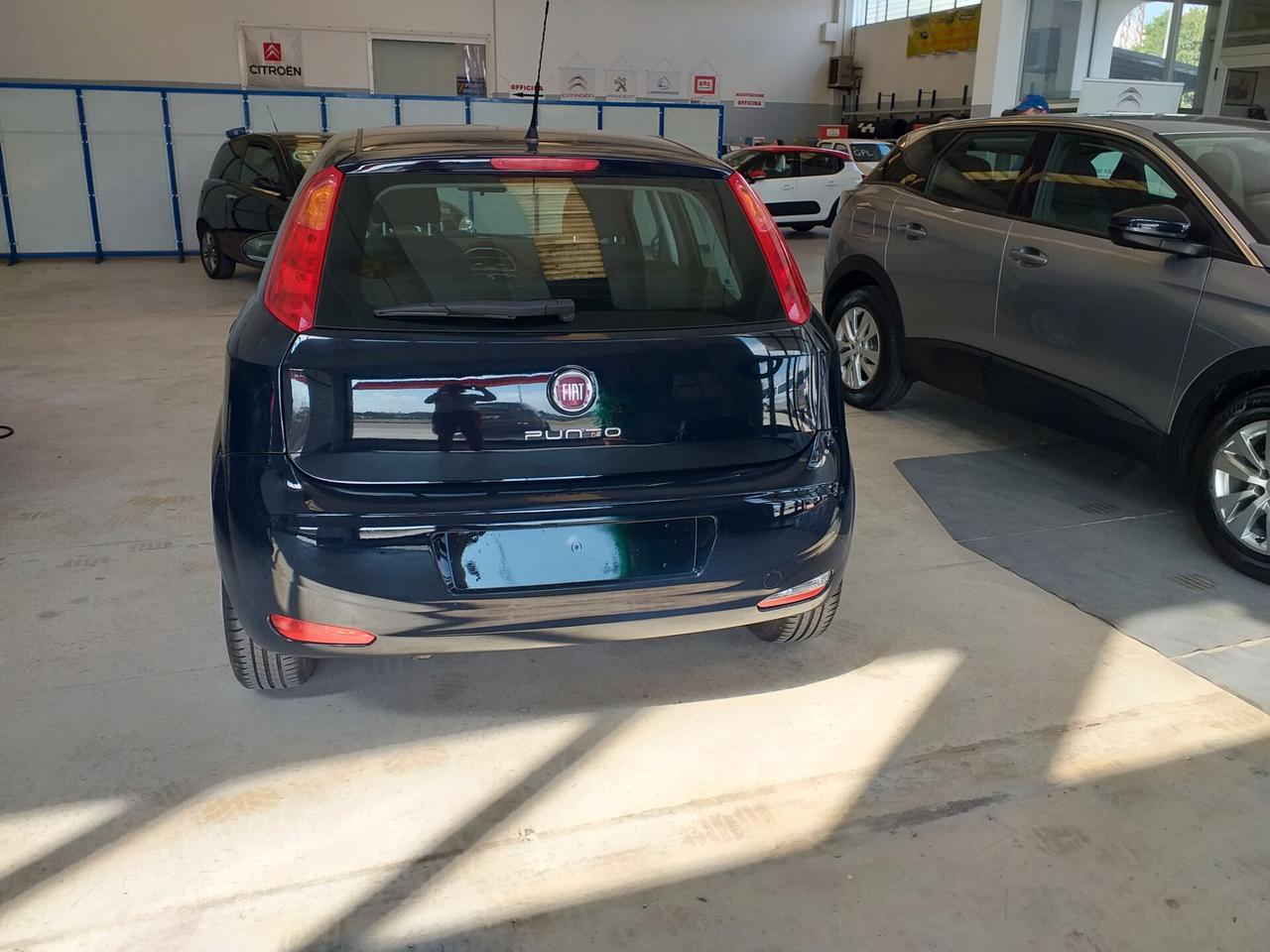 Fiat Punto 1.2 8V 5 porte Street