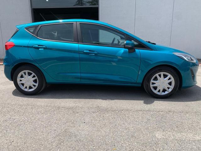 FORD Fiesta 1.5 EcoBlue 5 porte Plus