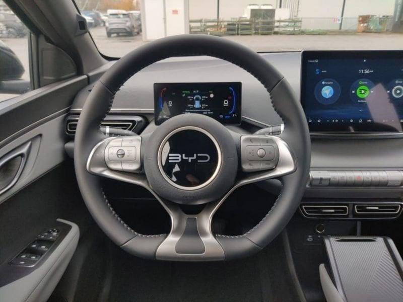 BYD Dolphin Surf Active