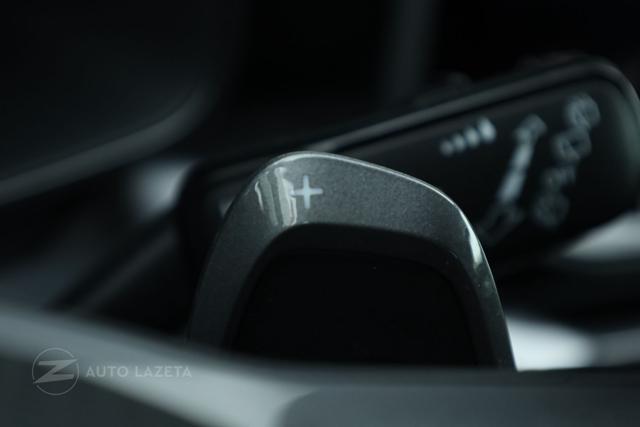 CUPRA Leon 2.0 TDI 150 CV DSG