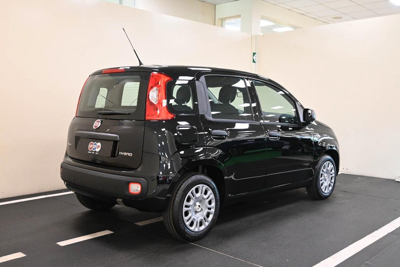 FIAT Panda 3ª serie Panda 1.0 FireFly S&S Hybrid