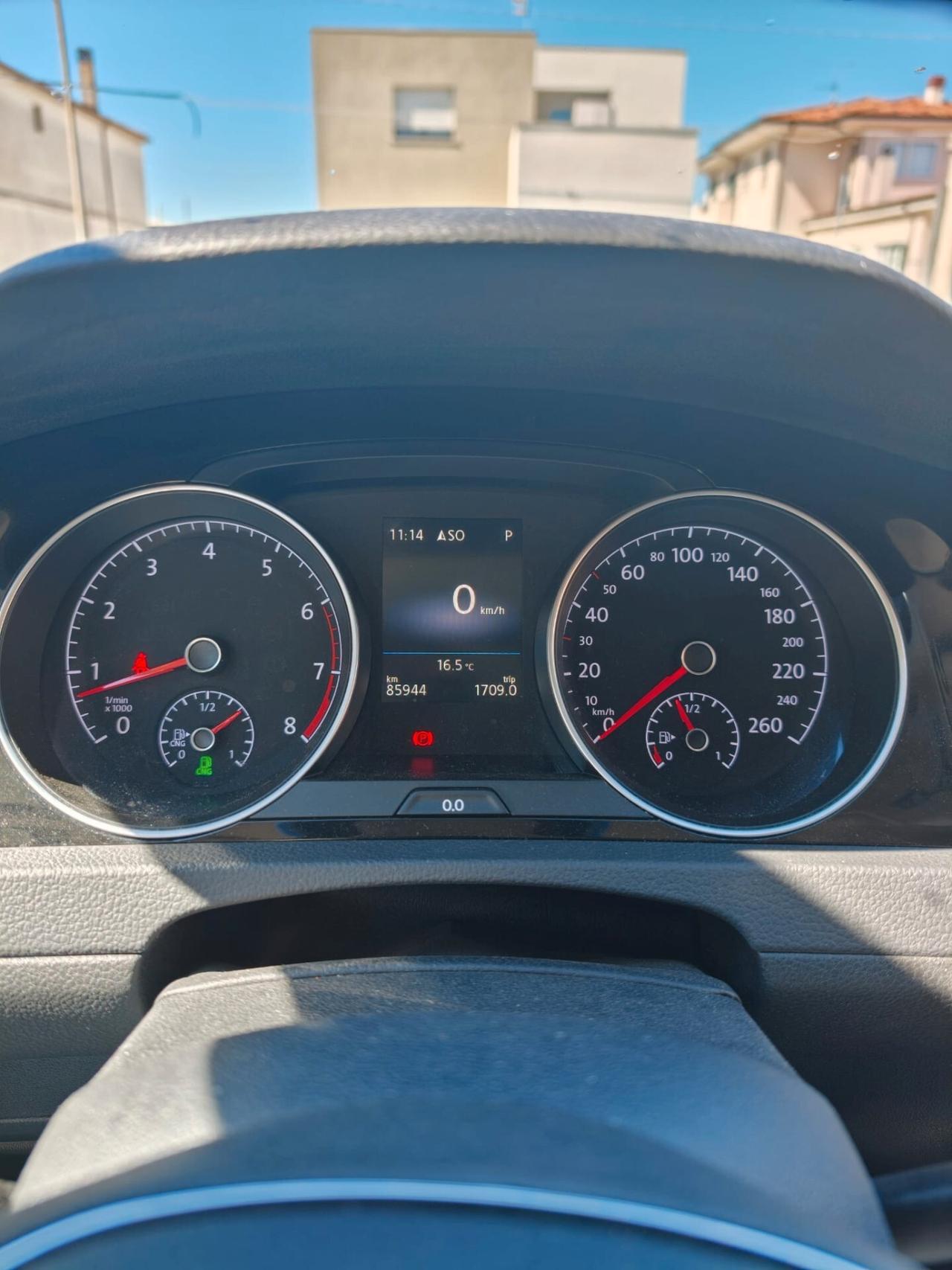 Volkswagen Golf 1.4 TGI DSG 5p. Executive BlueMotion