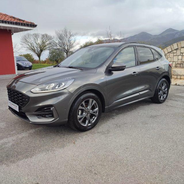 FORD Kuga 1.5 EcoBlue 120 CV aut. 2WD ST-Line
