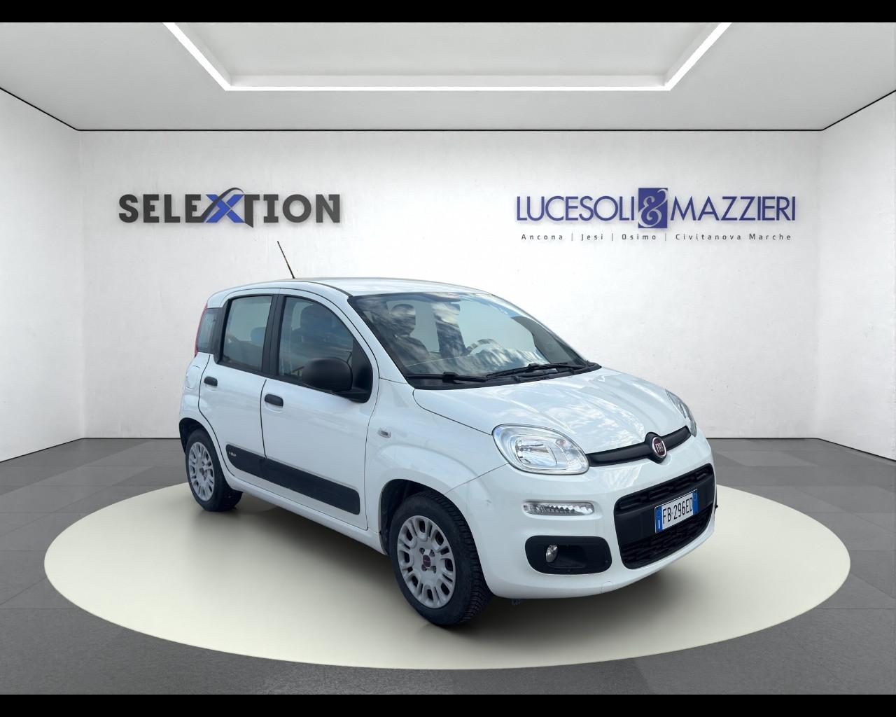 FIAT PANDA - Panda 1.2 Easy