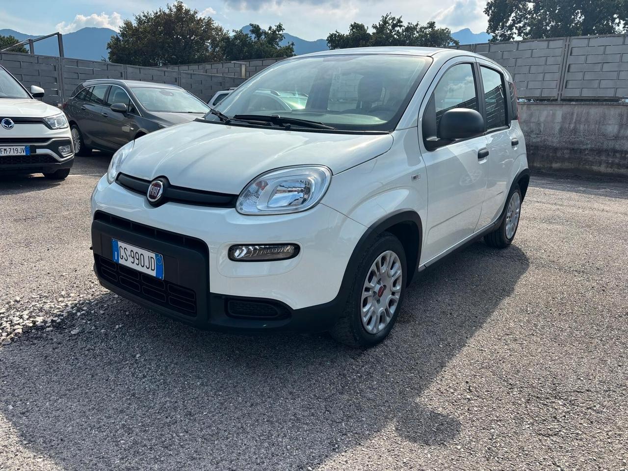 Fiat Panda 1.0 Hybrid 5 POSTI - 2023