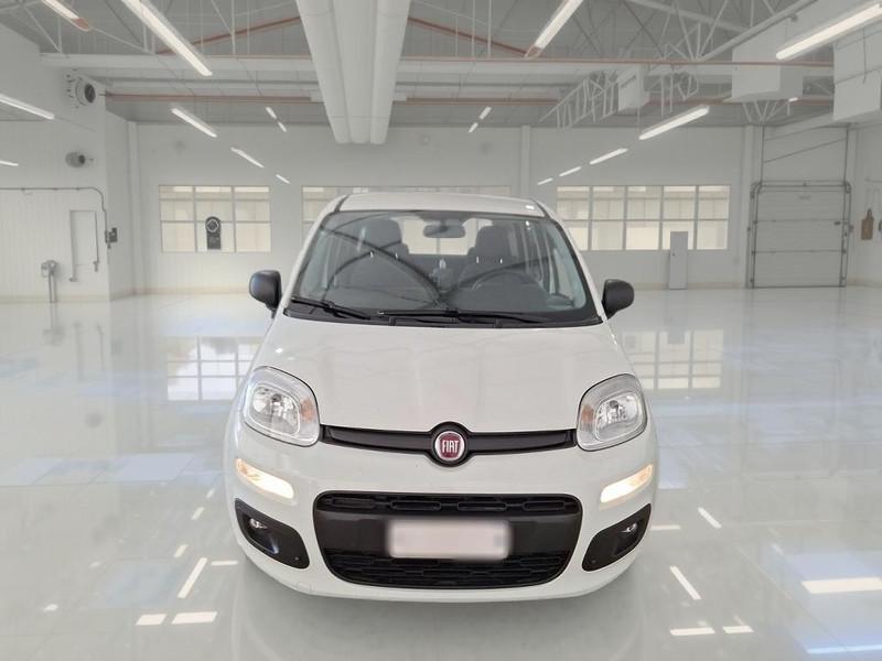 FIAT PANDA 1.2 69 CV SES E6D-TEMP EASY 5 PORTE BERLINA