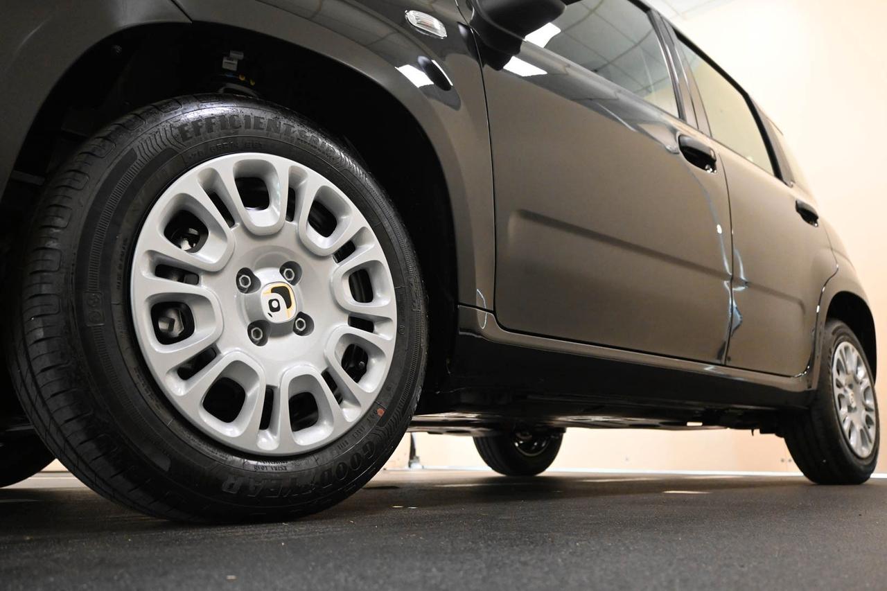 FIAT Panda 3ª serie Panda 1.0 FireFly S&S Hybrid