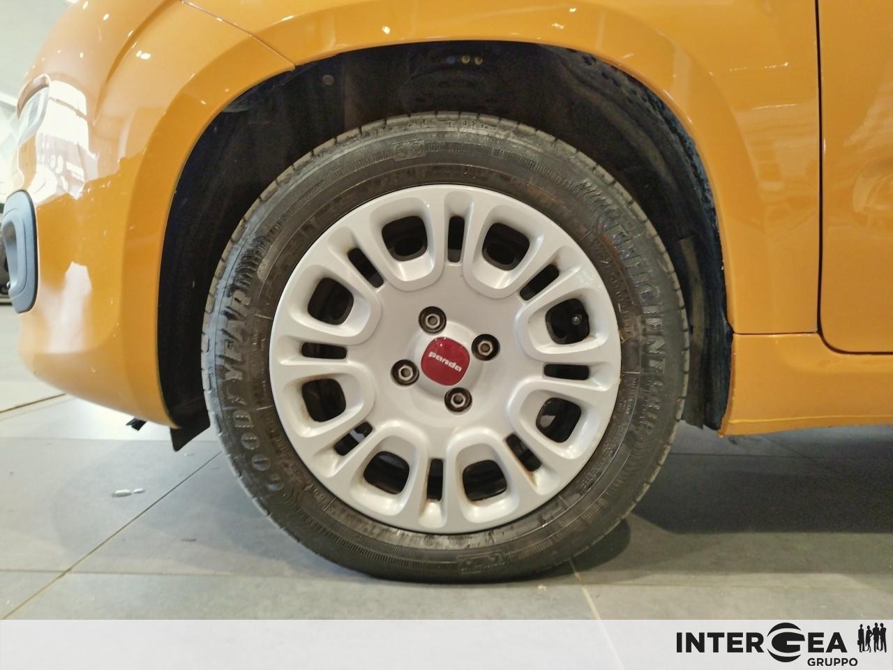FIAT Panda 1.0 firefly hybrid s&s 70cv