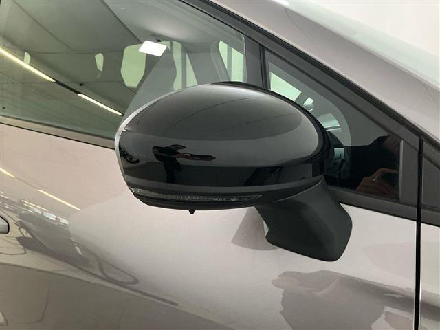 RENAULT Captur 1.0 eco-g Techno 100cv