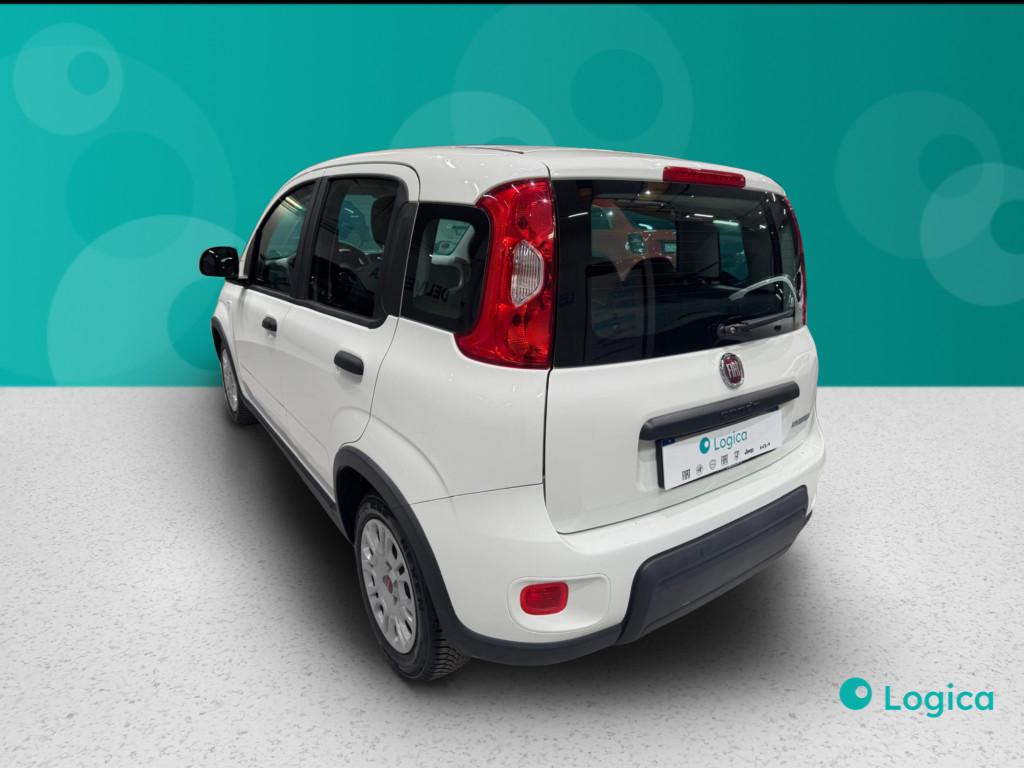 FIAT Panda III 2021 - Panda 1.0 firefly hybrid Sport s&s 70cv 5p.ti