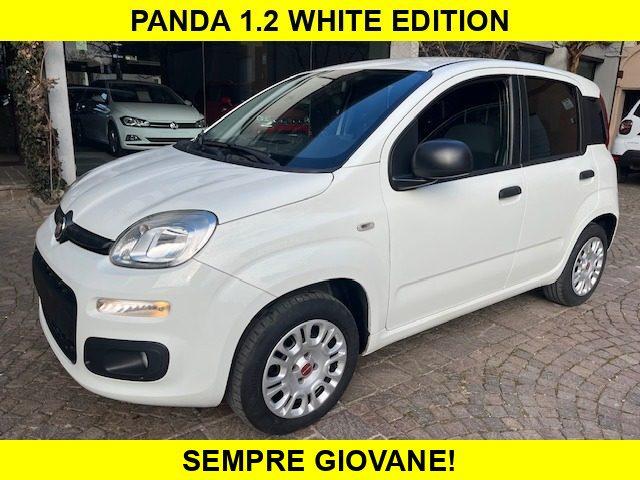 FIAT Panda 1.2 White Edition Euro 6