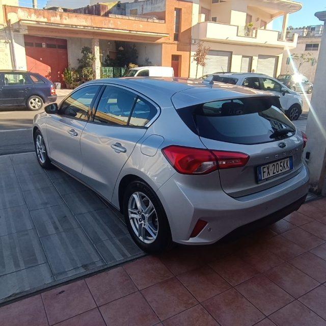 FORD Focus 1.5 EcoBlue 120 CV 5p. Business