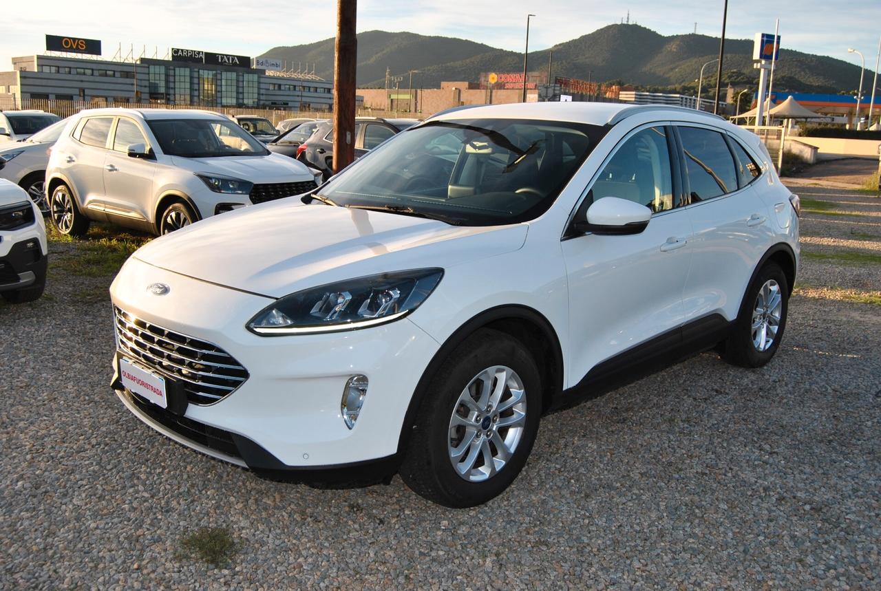 Ford Kuga 1.5 EcoBlue 120 CV 2WD Titanium