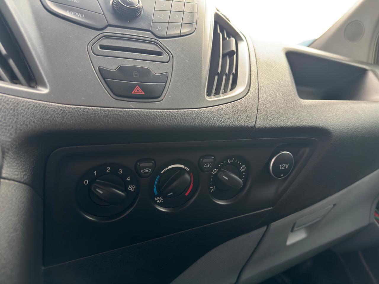 Ford Transit 310 2.0TDCi EcoBlue PM-TM Furgone Entry