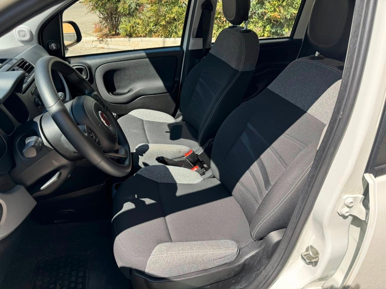 FIAT PANDA 1.0 HYBRID S&S FIREFLY PERFETTA