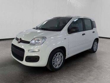 FIAT Pandina 1.0 firefly hybrid Icon s&s 70cv 5p.ti