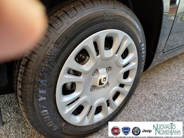 FIAT Panda 1.0 FireFly S&S Hybrid Icon 5°Posto Auto Nuova