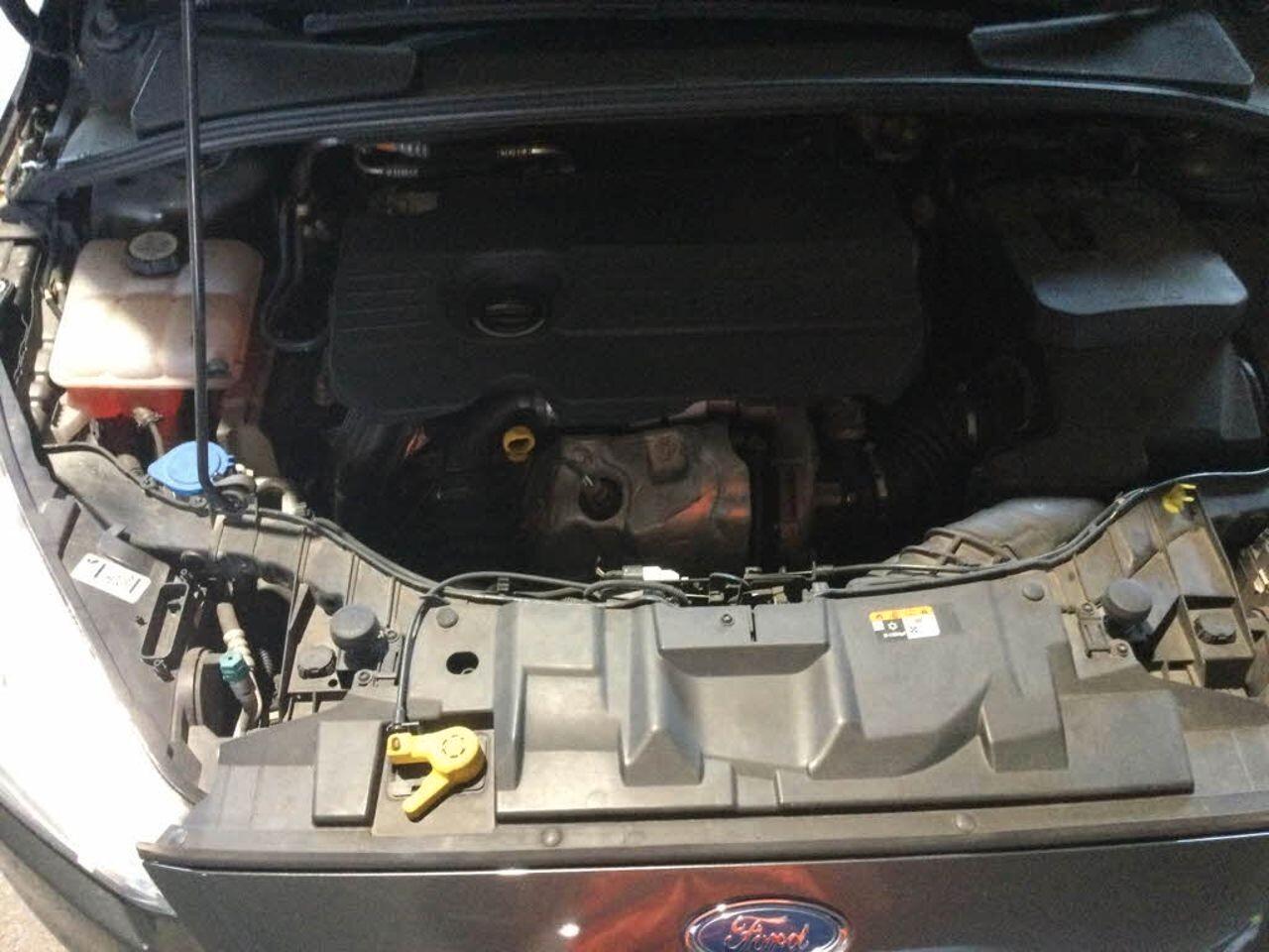 Ford Focus Berlina 1.5 TDCi 95cv *UNICO PROPRIETARIO*