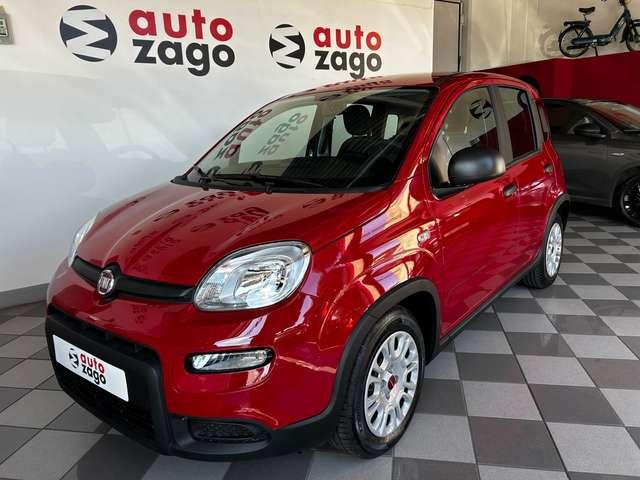 Fiat Panda 1.0 firefly Hybrid S&S 70 cv