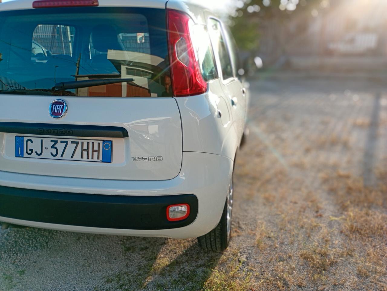 Fiat Panda 1.0 FireFly S&S Hybrid Pandina