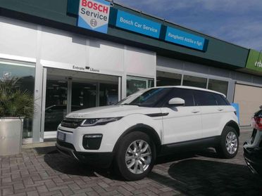Land Rover Range Rover Evoque 5 Porte Range Rover Evoque 5p 2.0 td4 SE Business edition 150cv auto my19