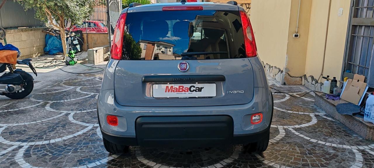 Fiat Panda 1.0 hybrid 69cv entra