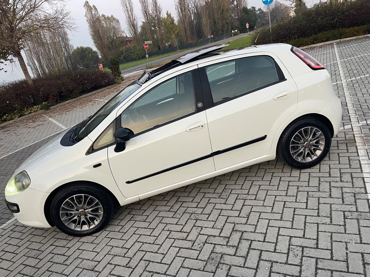 Fiat Punto Evo 1.3 Mjt 75 CV DPF 5 porte S&S Dynamic