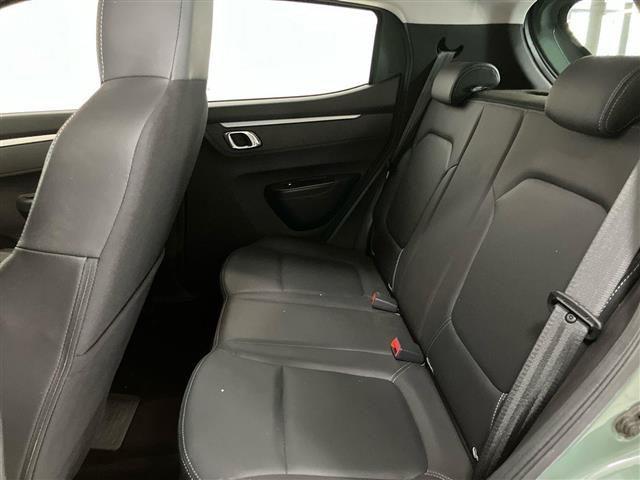 DACIA Spring Comfort Plus Electric 45