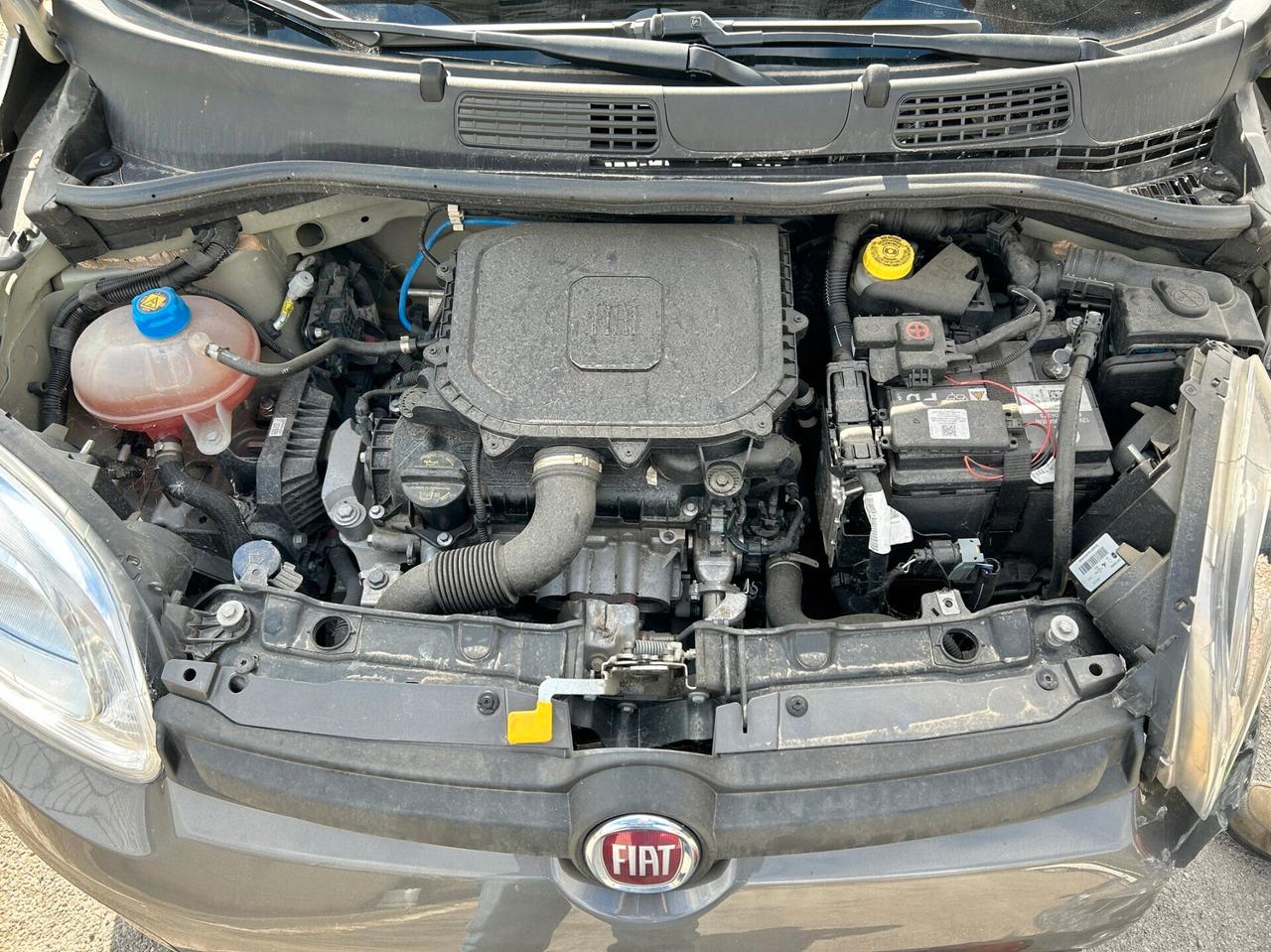 FIAT PANDA 1.0 HYBRID - 2023