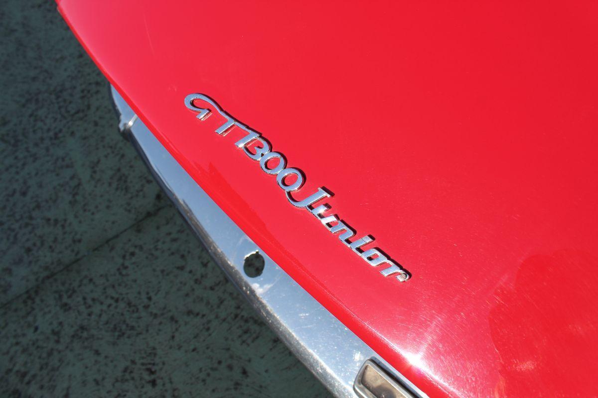 ALFA ROMEO - Junior