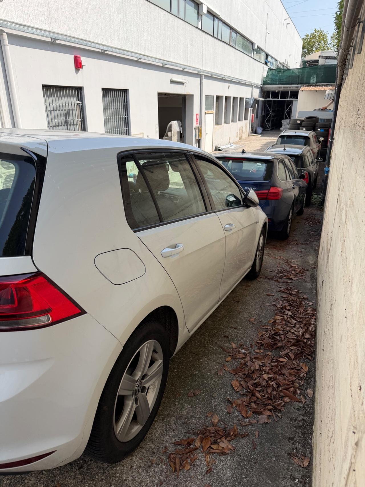 Volkswagen Golf Business 1.4 TGI DSG 5p. Highline BlueMotion