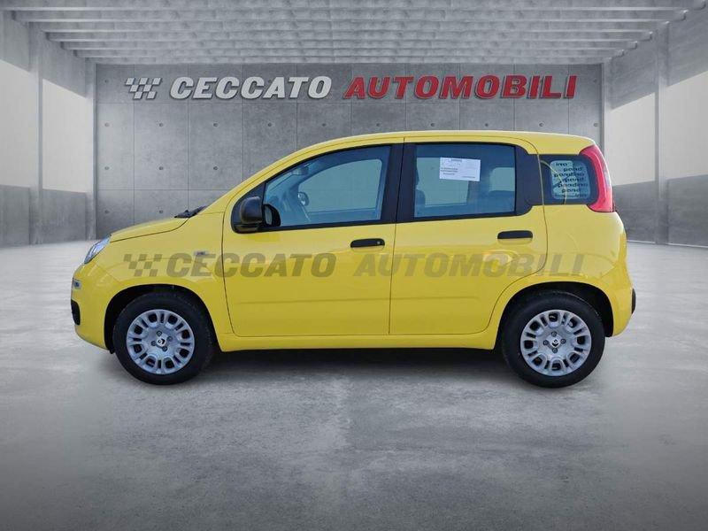 FIAT Panda Panda 1.0 70cv Hybrid Icon