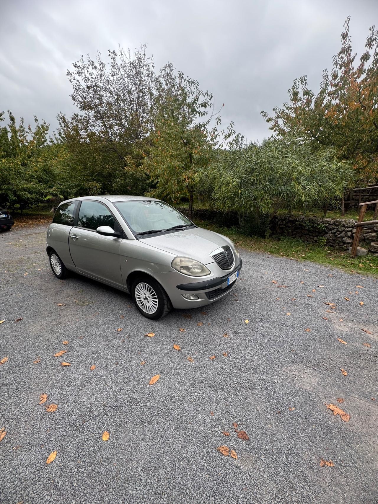 Lancia Ypsilon 1.3 Multijet 16V Platino