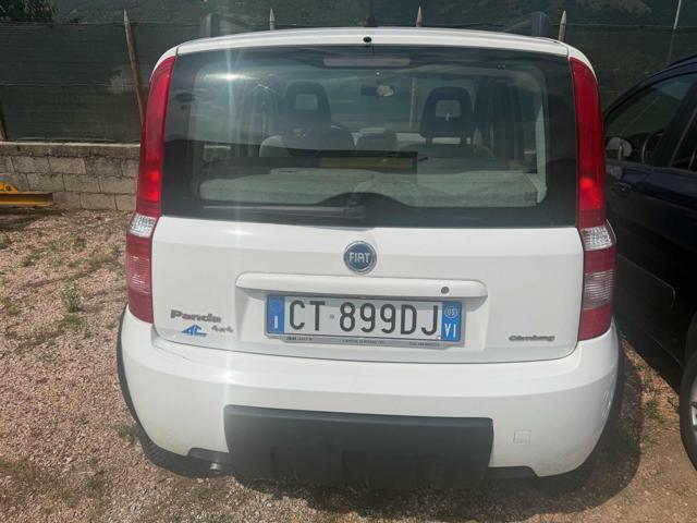 FIAT Panda 1.2 4x4 Climbing senza nessun lavoro da fare