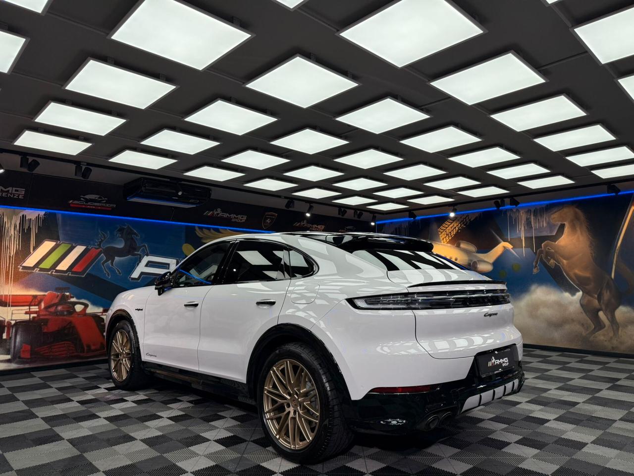 Porsche Cayenne 3.0 V6 E-Hybrid (483)