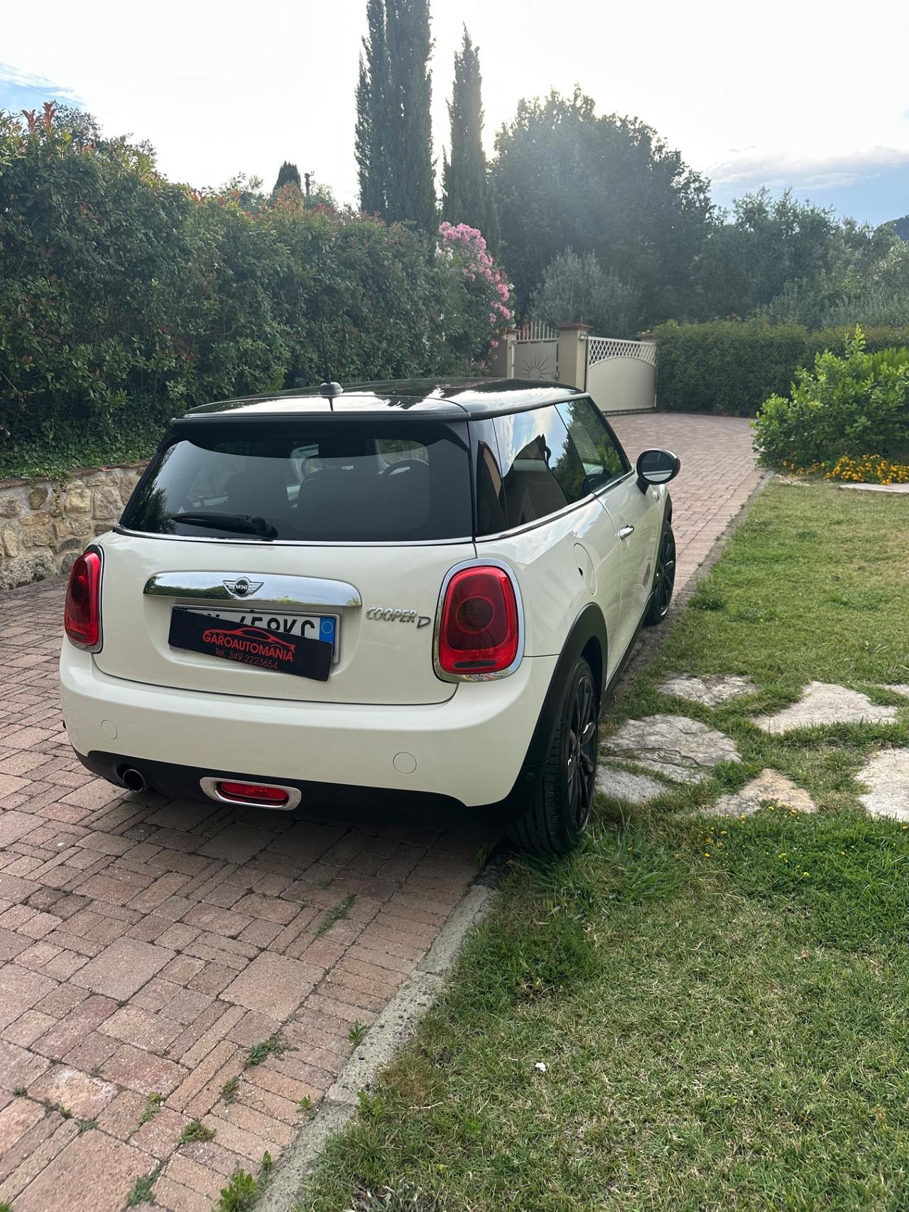 Mini 1.5 One D