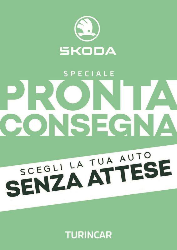 Skoda Kamiq 1.0 TSI Black Dots NUOVA DA IMMATRICOLARE