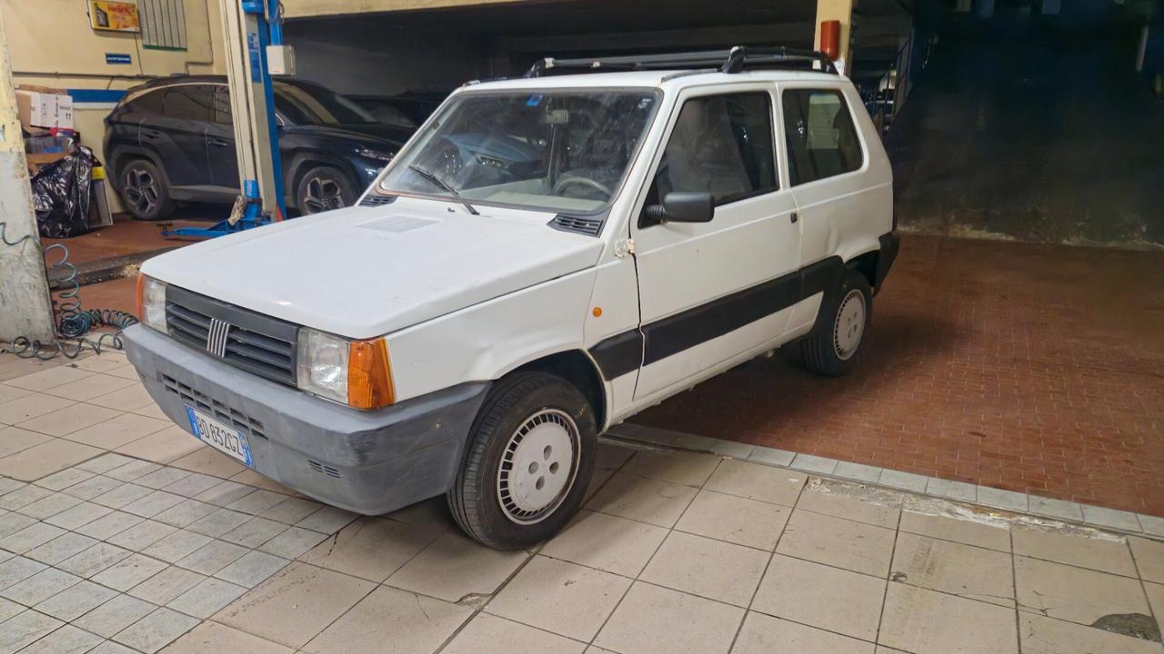 Fiat Panda 900 i.e. cat Young