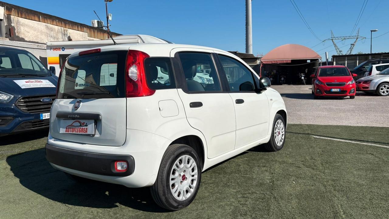 Fiat Panda 1.2 312PXA1A | BENZINA| 169A4000 CC 1242 CV 69 KW 51 BERLINA, 5 P.