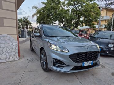 Ford Kuga 1.5 EcoBlue 120 CV aut. 2WD ST-Line