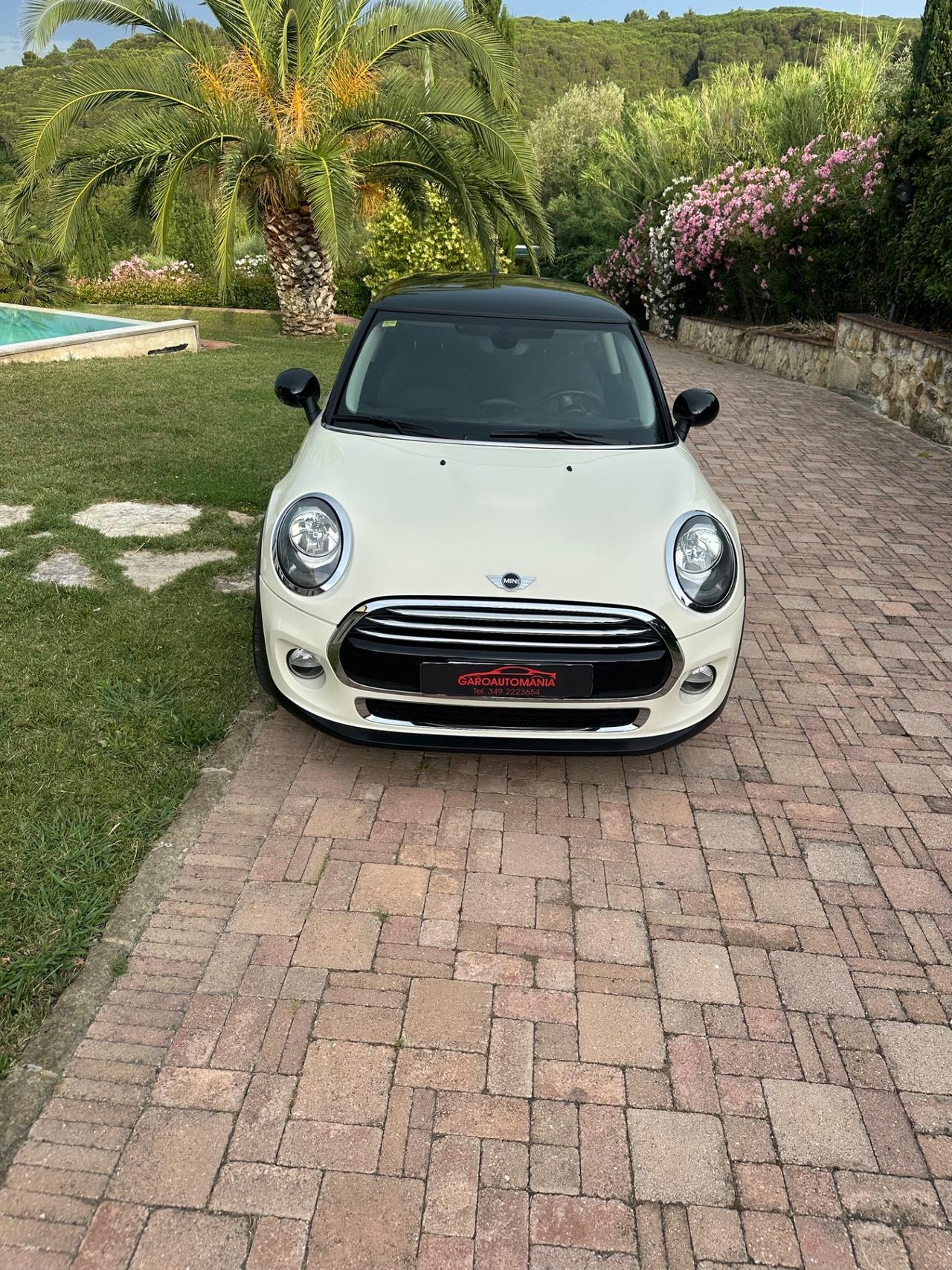 Mini 1.5 One D