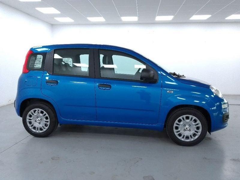 FIAT Pandina 1.0 firefly hybrid Icon s e s 70cv 5p.ti