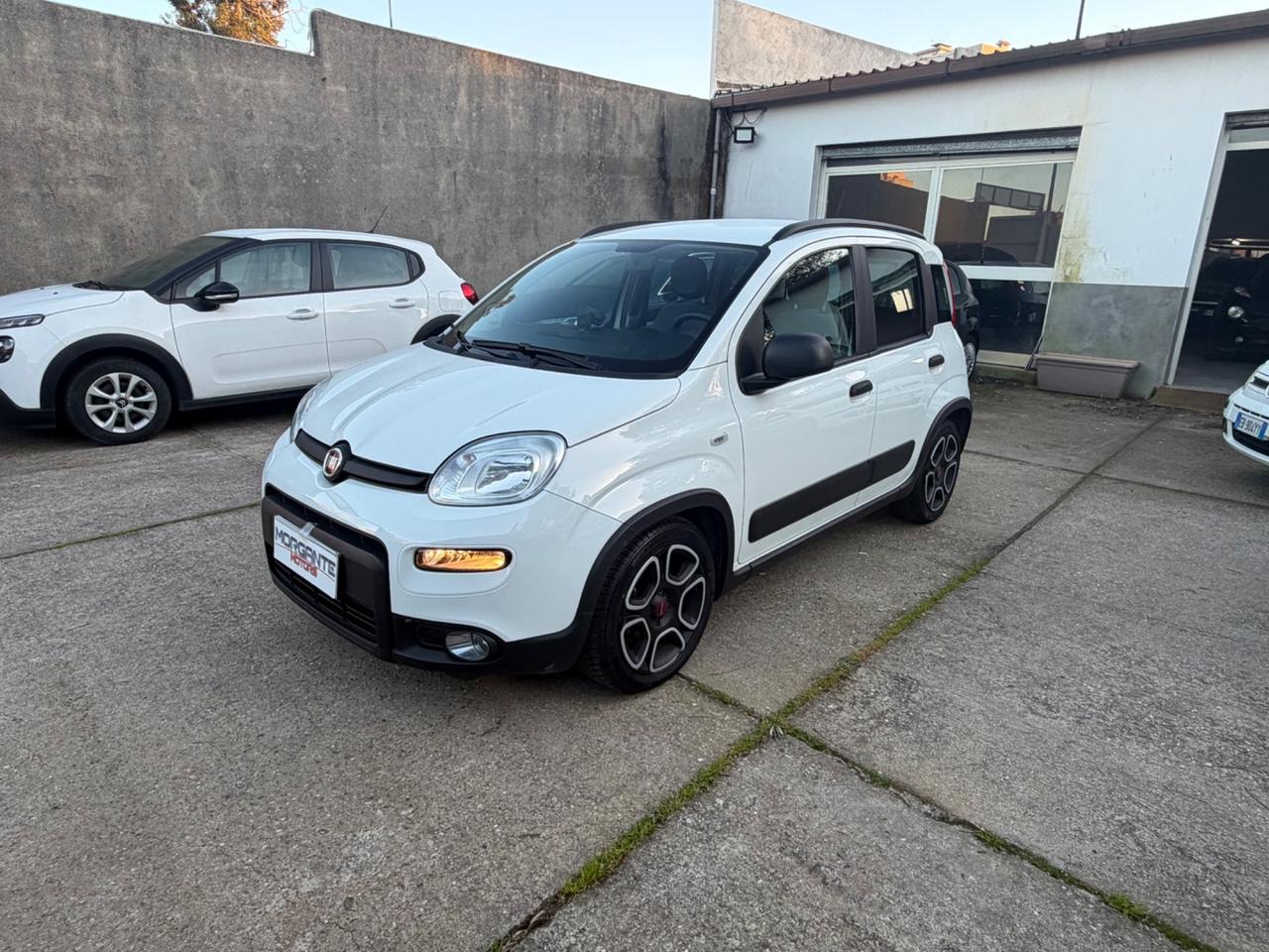 Fiat Panda 1.0 69cv FireFly S&S Hybrid City Life 2021