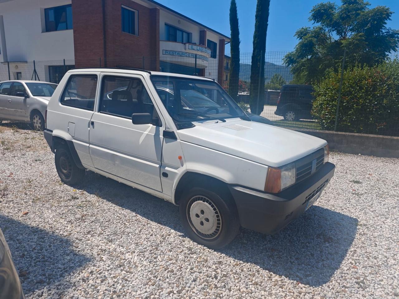 Fiat Panda 1100 i.e. cat College