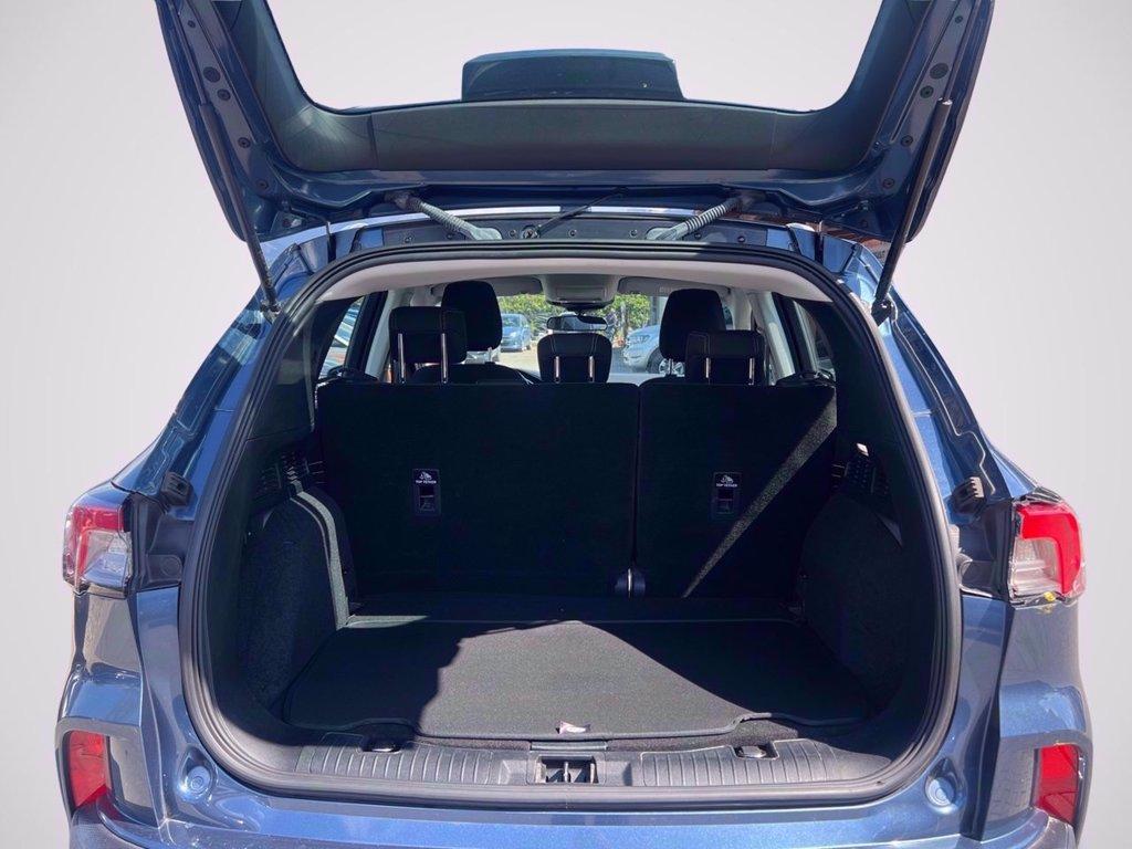 FORD Kuga 1.5 ecoboost Connect 2wd 120cv del 2021