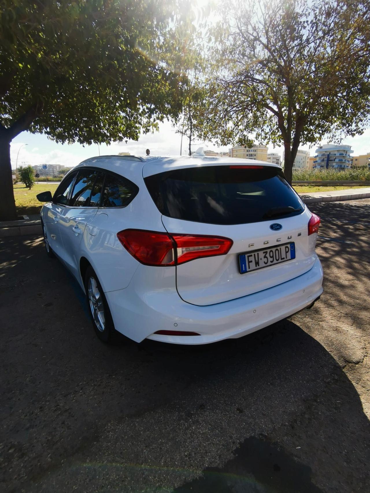 Ford Focus 1.5 EcoBlue 120 CV SW Business 2019
