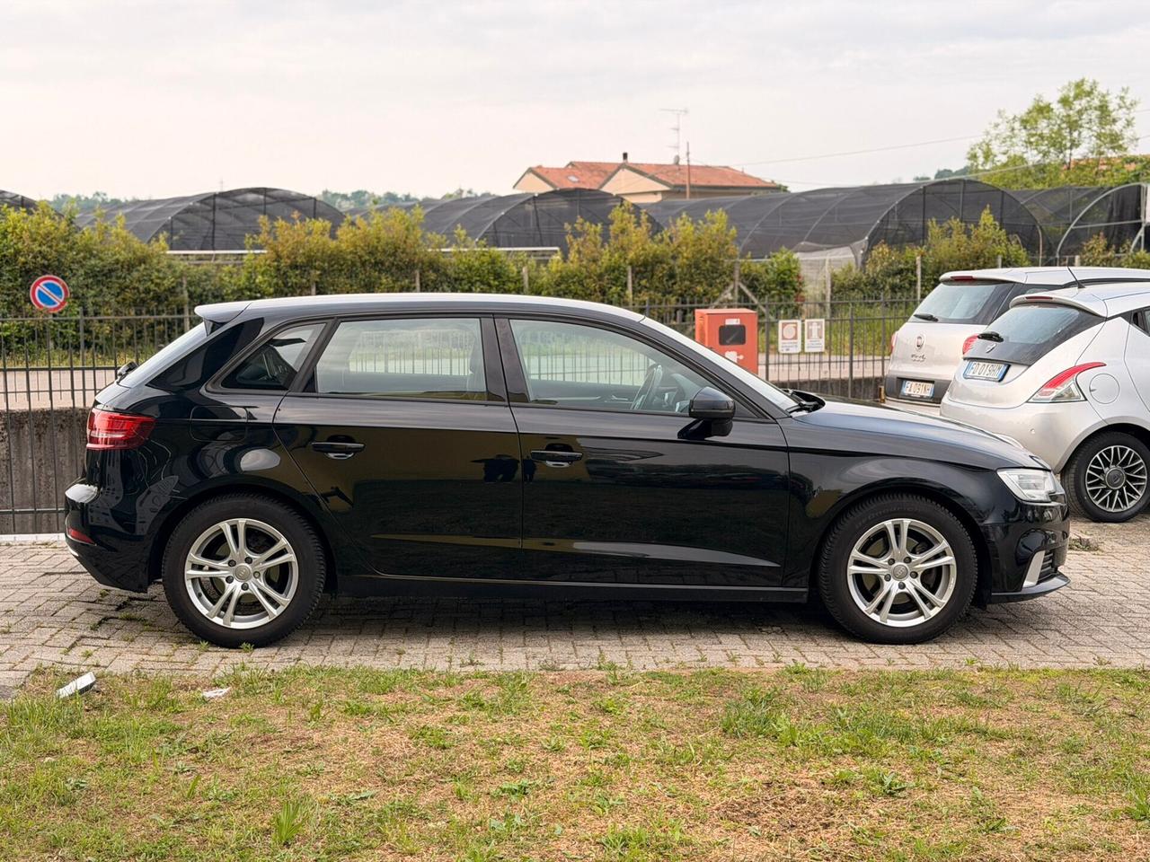 A3 SPB 1.6 TDI Business 110cv